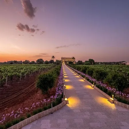 Tenuta Rocci Cerasoli *