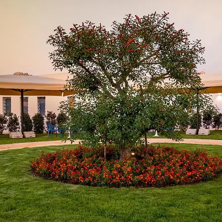 度假村 Tenuta Rocci Cerasoli *